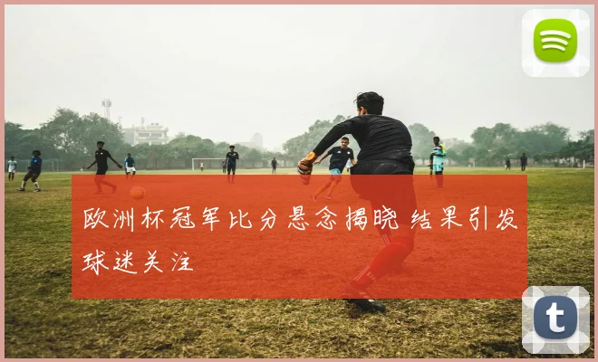 欧洲杯冠军比分悬念揭晓 结果引发球迷关注