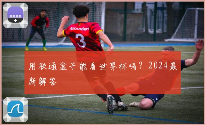 用联通盒子能看世界杯吗？2024最新解答