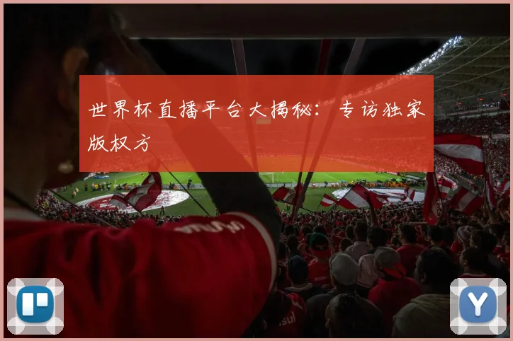 世界杯直播平台大揭秘：专访独家版权方