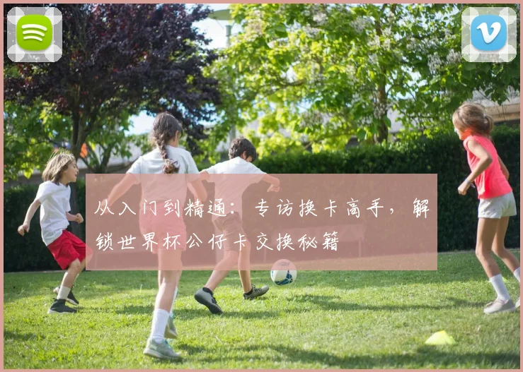 从入门到精通：专访换卡高手，解锁世界杯公仔卡交换秘籍