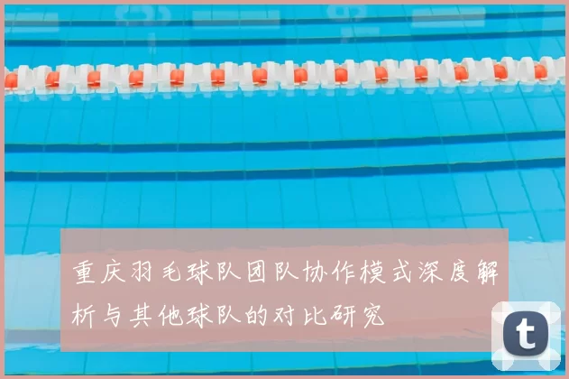 重庆羽毛球队团队协作模式深度解析与其他球队的对比研究