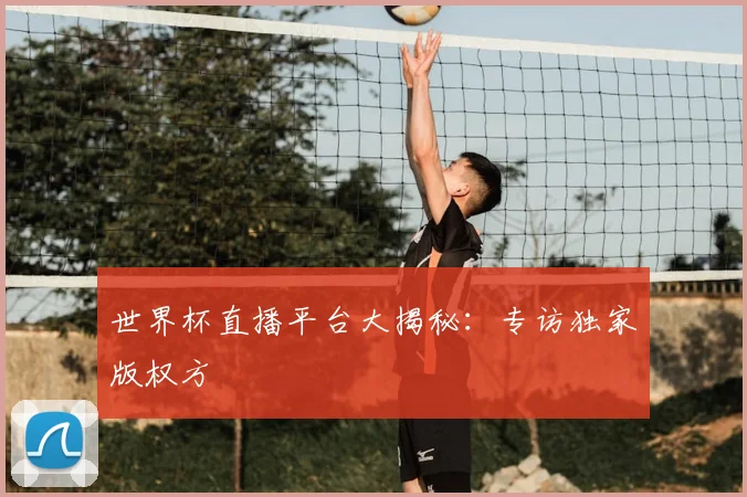 世界杯直播平台大揭秘：专访独家版权方